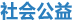 ṫ